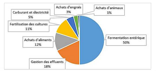 Répartition des émissions de GES en élevage bovin laitier. Crédit : Idele
