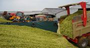 Les chantiers d'ensilage se sont déroulés dans de bonnes conditions, et les rendements en maïs fourrage sont supérieurs de 1 à 2 t/ha par rapport à la normale, voire 3 tonnes. © M. Lecourtier/Pixel image Les chantiers d'ensilage se sont déroulés dans de bonnes conditions, et les rendements en maïs fourrage sont supérieurs de 1 à 2 t/ha par rapport à la normale, voire 3 tonnes. © M. Lecourtier/Pixel image