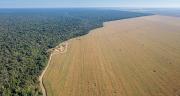 L’Observatoire du risque de déforestation importée est le nouvel outil de Duralim destiné à lutter contre la déforestation liée à l’importation de soja. © Imago Photo/Adobe stock L’Observatoire du risque de déforestation importée est le nouvel outil de Duralim destiné à lutter contre la déforestation liée à l’importation de soja. © Imago Photo/Adobe stock