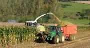Les ensilages devraient débuter avant le 15 août. © Photoagriculture/AdobeStock