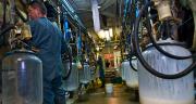 Sensiblement érodé en 2015 et 2016, le revenu des producteurs de lait de vache progresse en 2017, grâce à l’augmentation du prix du lait et la stabilité des coûts de production. 