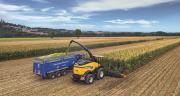 Quels sont les intérêts d'une coupe haute en maïs fourrage? CP : New Holland Quels sont les intérêts d'une coupe haute en maïs fourrage? CP : New Holland