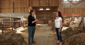 80 % de la production de viande valorisé en vente directe. Photo : Pixel6TM 80 % de la production de viande valorisé en vente directe. Photo : Pixel6TM