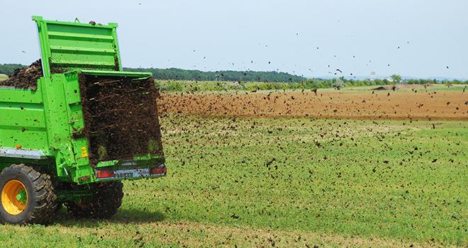 Le fumier est de plus en plus recherché par les céréaliers pour sa capacité à enrichir la vie microbienne du sol. Crédit photo : N. Chemineau/Pixel image