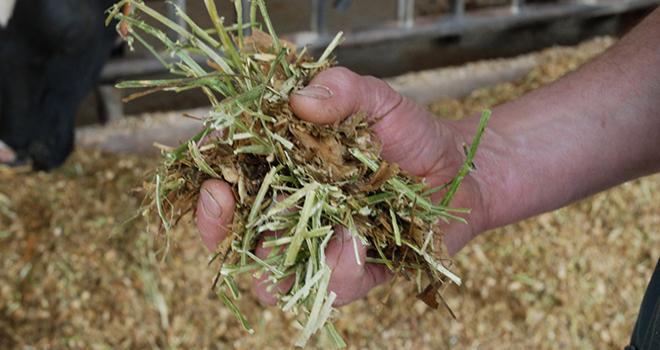 Deux objectifs structurent le volet élevage de Cap Protéines : accroître la production de protéines en élevage et valoriser en élevage les tourteaux et graines d’oléoprotéagineux. © Pixel6TM Deux objectifs structurent le volet élevage de Cap Protéines : accroître la production de protéines en élevage et valoriser en élevage les tourteaux et graines d’oléoprotéagineux. © Pixel6TM