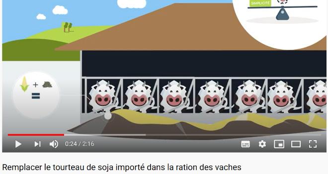 À partir du mardi 14 avril, retrouvez une vidéo par semaine sur la page YouTube de Protecow !