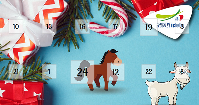 L'Institut de l'élevage propose un calendrier de l'AvAnt virtuel.