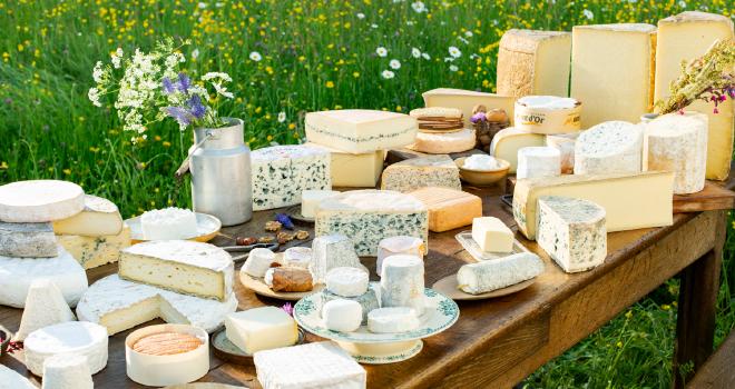 Selon le Cnaol, les AOP laitières, qui sont surtout commercialisées sur le territoire national, sont orphelines d’une part importante de leurs débouchés : RHD, grandes surfaces et marchés. CP : Cnaol.