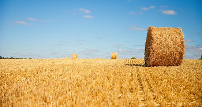 Adivalor, Healix et Tama unissent leurs forces pour recycler les ficelles. © AdobeStock/Thierry RYO