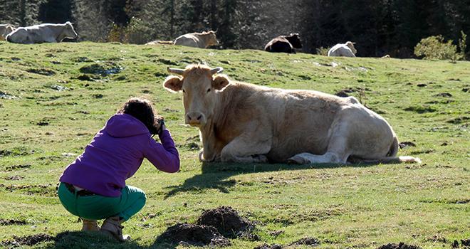 Les clichés représentant le bien-être animal sont à envoyer jusqu'au 15 juin. ©Philipimage/AdobeStock Les clichés représentant le bien-être animal sont à envoyer jusqu'au 15 juin. ©Philipimage/AdobeStock