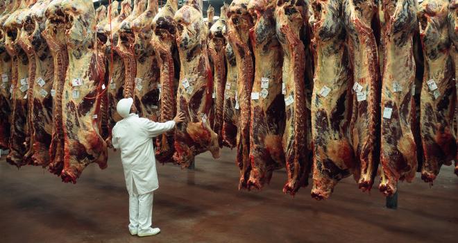 Le 6 août 2020, est paru un arrêté homologuant le nouveau cahier des charges pour le label Rouge gros bovins. Le terme « étourdissement » a finalement bien été conservé. CP : Bertrand photos/Adobe Stock