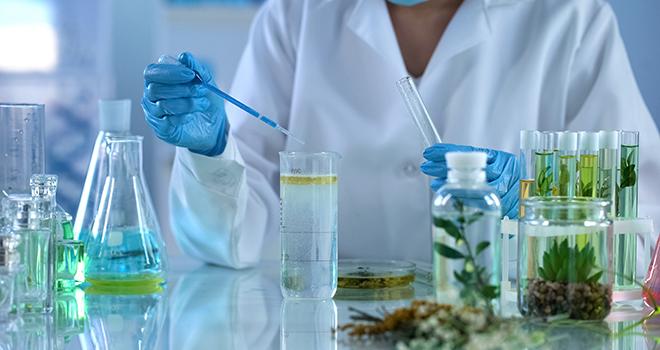 Phytothérapie et aromathérapie : une nouvelle méthode d’évaluation. © Motortion/AdobeStock Phytothérapie et aromathérapie : une nouvelle méthode d’évaluation. © Motortion/AdobeStock