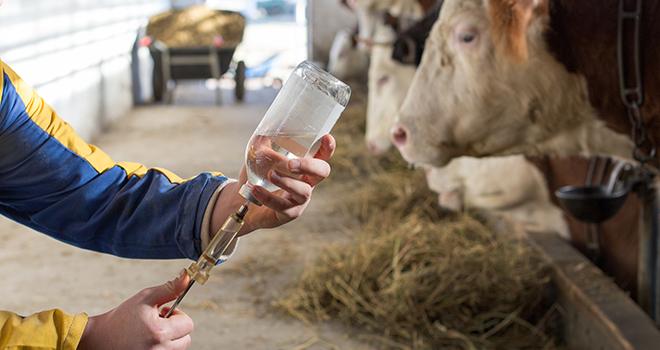 Le projet cofinancé par l’Union européenne vise à proposer des solutions concrètes pour lutter contre l’indisponibilité de certains antibiotiques en France et éviter les pollutions environnementales lors de leur production. © Budimir Jevtic/Adobestock Le projet cofinancé par l’Union européenne vise à proposer des solutions concrètes pour lutter contre l’indisponibilité de certains antibiotiques en France et éviter les pollutions environnementales lors de leur production. © Budimir Jevtic/Adobestock