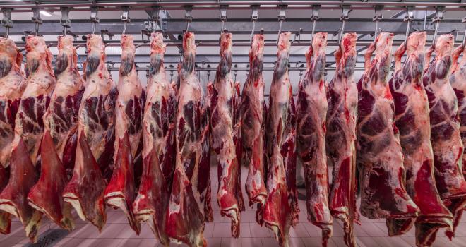 Un étiquetage pour informer les consommateurs sur les conditions d’abattage. CP : mehmet/Adobe Stock