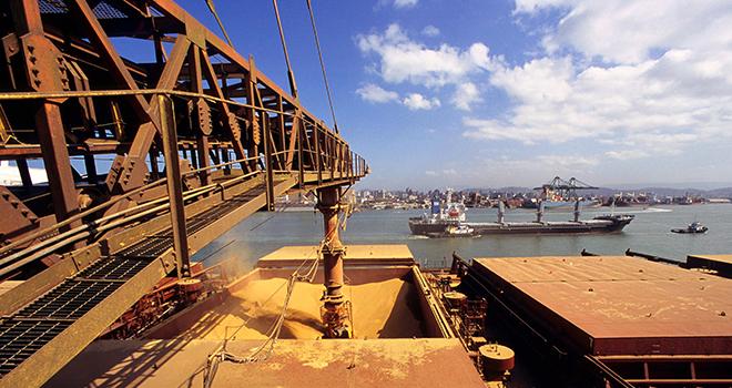 Agrial et Lidl s’engagent pour du soja responsable. © Pulsar Imagens/Adobe Stock