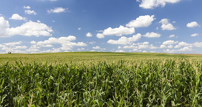 rsooll/AdobeStock rsooll/AdobeStock