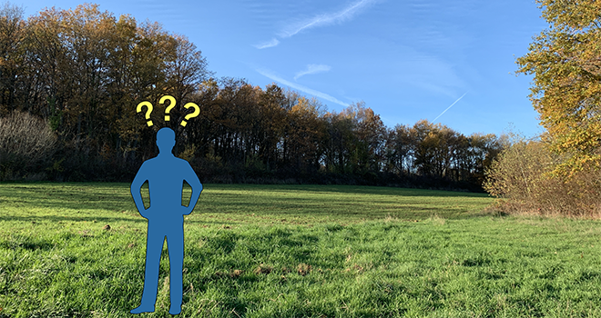 Gel, sécheresse : comment l’herbe pousse-t-elle chez vous ? © C.Lamy-Grandidier/Pixel6TM