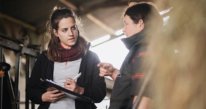 La nouvelle coopérative d’élevage Innoval vient de voir le jour. Photo : Atypix