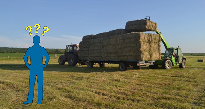 Les foins sont-ils terminés chez vous ? © C.Lamy-Grandidier/Pixel6TM Les foins sont-ils terminés chez vous ? © C.Lamy-Grandidier/Pixel6TM