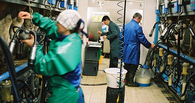 En 2018, l’érosion de l’effectif des élevages ayant fourni des résultats de lactations s’est poursuivie : -5,2% par rapport à 2017. Photo : L. Gueneau/CNIEL