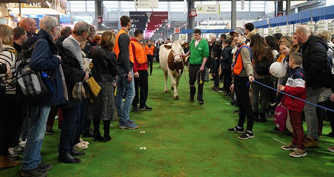 Le Concours général agricole a décerné 1235 prix pour le concours des animaux. © Patrick Parchet Le Concours général agricole a décerné 1235 prix pour le concours des animaux. © Patrick Parchet