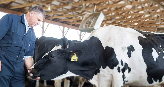 Bayer cède pour 7,6 milliards de dollars ses activités santé animale à Elanco. ©DR