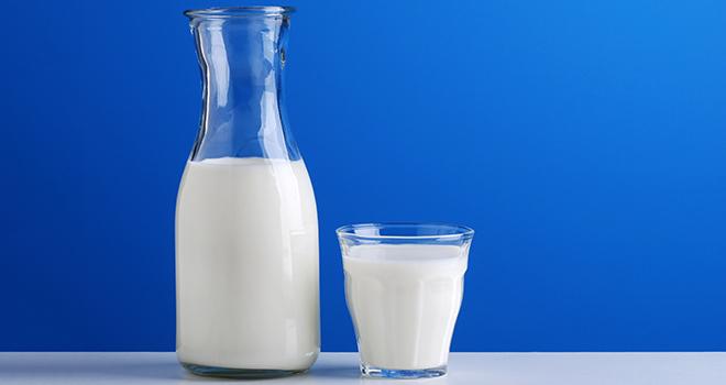 Après un recul de 3,7% en juin 2016 par rapport à juin 2015, la collecte de lait de vache se stabilise en juillet. © Al62/Fotolia
