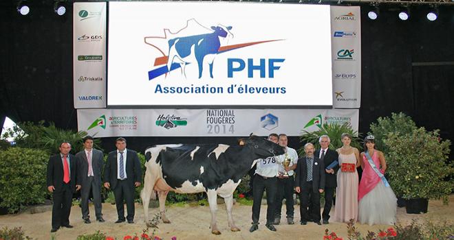 Twin Uzelli, appartenant au Gaec Leclerc et à Bruno Toussaint, a remporté le titre de grande championne du concours national prim'holstein 2014. Elle pose sous le tout nouveau logo de Prim'Holstein France, dévoilé quelques minutes avant sa désignation. Photo: JLC
