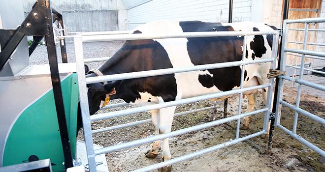 En 2015, les chercheurs suisses ont également commencé à utiliser l'outil Greenfeed. Photo Agroscope