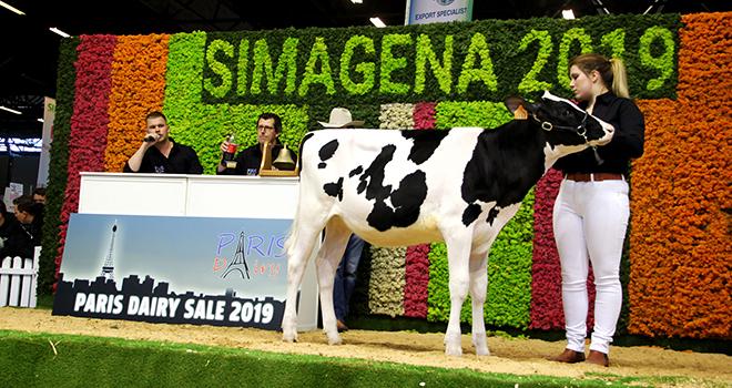 La génisse Gah Olga des Grilles, fille de Boldi V Gymnast a été vendue 130 000 euros.