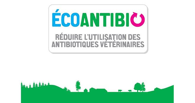 Le plan Écoantibio 2017-2021 vise à inscrire dans la durée la baisse de l’exposition des animaux aux antibiotiques.