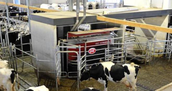 En moyenne, les vaches ont produit 8446 kg de lait par an en 2019. CP : DR En moyenne, les vaches ont produit 8446 kg de lait par an en 2019. CP : DR