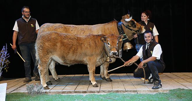 Les organisateurs des concours sont très satisfaits. Crédit : Laurent Pfeiffer, Sommet de l’élevage