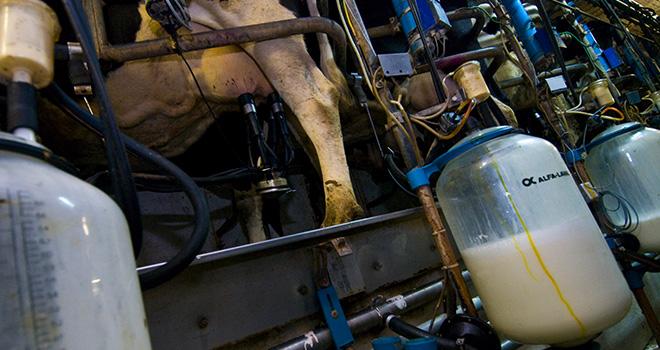 Le prix du lait se redresse mais l’impact paraît neutralisé, au moins en France, par la hausse des prix des intrants. C.Helsly/Cniel Le prix du lait se redresse mais l’impact paraît neutralisé, au moins en France, par la hausse des prix des intrants. C.Helsly/Cniel