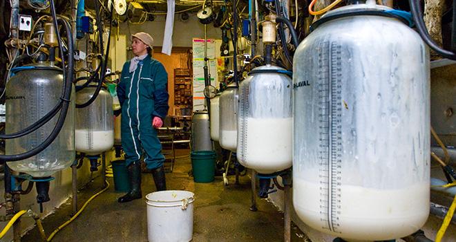 En 2010, la collecte de lait biologique a augmenté de 11,6 %, une hausse moins marquée que celle des années précédentes. Elle devrait atteindre 1,1 milliard de litres et aura quasiment doublé par rapport au volume de 2016. ©C. Helsly/CNIEL En 2010, la collecte de lait biologique a augmenté de 11,6 %, une hausse moins marquée que celle des années précédentes. Elle devrait atteindre 1,1 milliard de litres et aura quasiment doublé par rapport au volume de 2016. ©C. Helsly/CNIEL