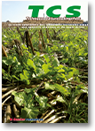 TCS