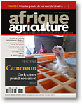 Afrique Agriculture